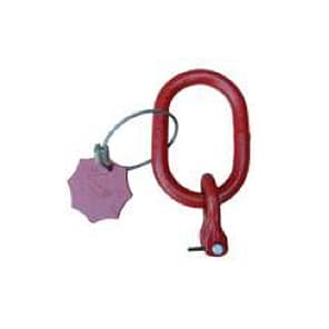 Eslabón maestro un ramal conexión directa