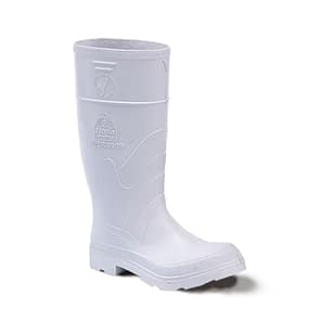 Bota Lactica